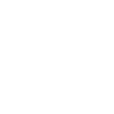 Default Spin Image
